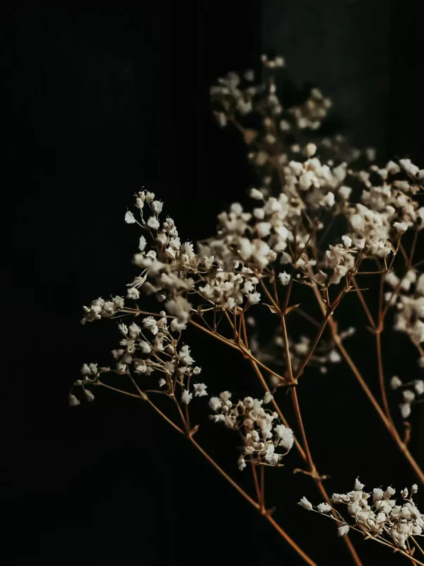 alex-beaufort-7mozcykfdea-unsplash-crp