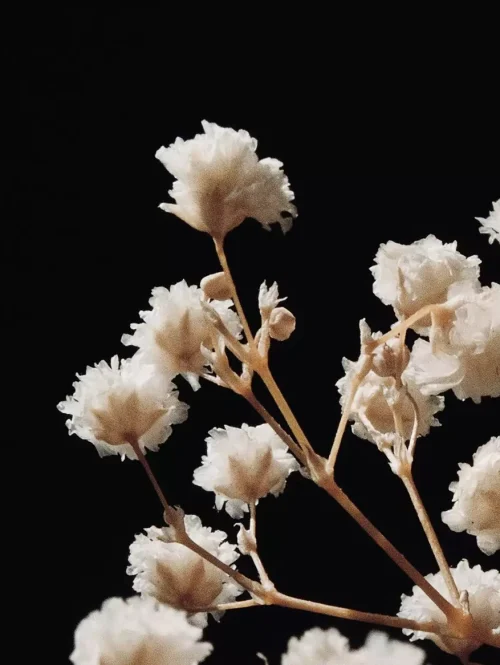 jocelyn-morales-j4ptdc6rt-a-unsplash-crp