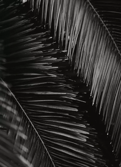 kellen-riggin-9pt1ix1bz88-unsplash-edit